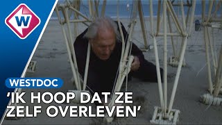 Strandbeesten trekken door de wind langs de kust Ik creëer een nieuw diersoort  OMROEP WEST [upl. by Enitsirk]