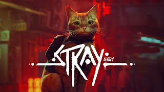 STRAY  Coming to Nintendo Switch November 19 [upl. by Eixela]