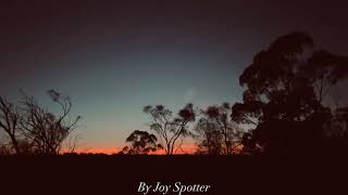 Australian Birds Serenade at Sunrise [upl. by Alta]