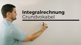 Integralrechnung Grundvokabel Hauptsatz Flächenberechnung  Mathe by Daniel Jung [upl. by Tugman]