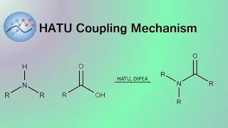 HATU DIPEA Peptide Coupling Mechanism  Organic Chemistry [upl. by Kennan]