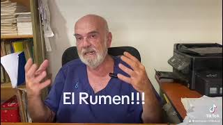 EL ROL DEL RUMEN EN LA DIGESTIÓN DE LOS RUMIANTES [upl. by Nirot]