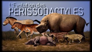 Evolution des chevaux et rhinocéros [upl. by Zsa654]