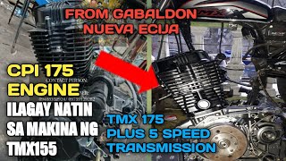 TMX 155 CONVERT TO 175cc  PLUS 5 SPEED TRANSMISSION [upl. by Ahsienom]