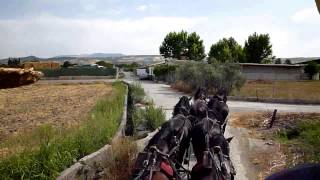 Enganche de 6 Caballos entrenando por carretera 1ª Parte [upl. by Rochemont]