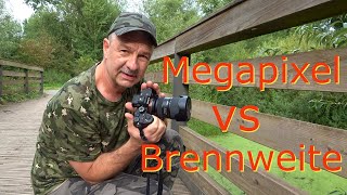 Megapixel vs Brennweite in der Urdenbacher Kämpe [upl. by Asit]