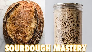 How To Achieve Sourdough Starter Mastery [upl. by Anaila]