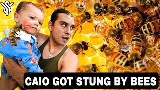 Cyrus Dobres Baby Attacked by BEES Parents Panicking What Happened dobre youtubestar7779 [upl. by Alicec]