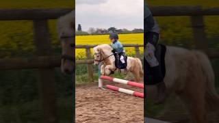 The littlest pony jumping ever horse showjumping horselover pony horseriding equestrian [upl. by Niles]