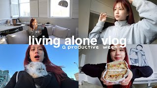 VLOG  productive week in my life [upl. by Yanat]