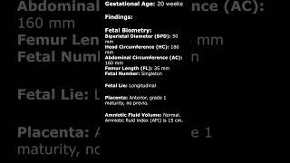 Normal 20 Week Obstetric Ultrasound Sample Report  Fetal USG pregnancyusg ultrasoundreport [upl. by Auqenwahs]