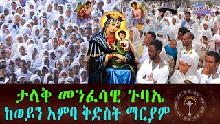 🛑LIVE ከወይን አምባ ቅድስት ማርያም ቤተክርስቲያን ታላቅ መንፈሳዊ ጉባኤ ንቁ ሚዲያ በቦታው ተገኝቶል እናተም በስደት ያላችሁ ለሌሎች ሼር ሼር አድርጉ [upl. by Eiger]