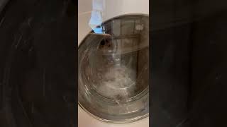 Miele WXR860 normal wash demo [upl. by Alyson234]