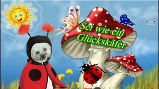 Heute sollst du wie ein Glückskäfer sein  🍀🐞liebe Grüße von mir 🐶 [upl. by Tail]