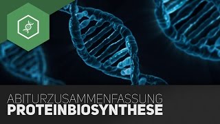 Proteinbiosynthese  Komplette Zusammenfassung fürs BioAbi [upl. by Delano]