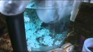 refining silver through electrolysis [upl. by Crescentia]