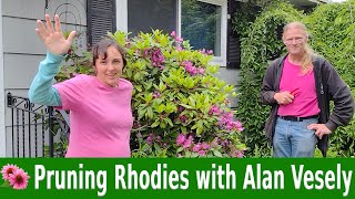 Pruning Rhododendrons with Alan Vesely [upl. by Baillieu]