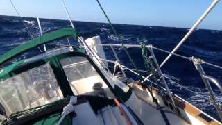 Running off the Baja Coast Staysail Only in Confused Seas [upl. by Ettegirb]