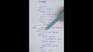 76 Glycolysis biology pharmacy science study glucose glycolysis [upl. by Lowe]