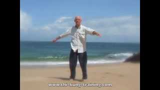 Bos Chi Kung amp Parkinson Qigong ZwaaiKloppen [upl. by Onairot791]