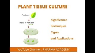 Plant Tissue Culture [upl. by Haibot]