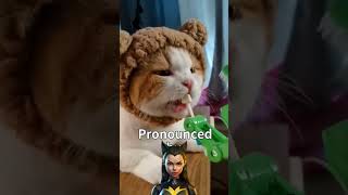 Show Cats Youre Mad Using ONLY Cat Sounds cat facts [upl. by Adnaral409]