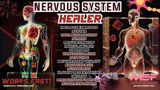 Nervous System Healer Super Underrated Advanced Morphic Field [upl. by Kina]