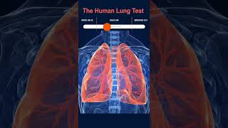 Test Human Lungs [upl. by O'Donoghue191]