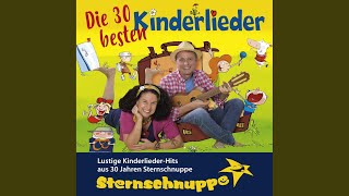 Sternschnuppe  Ich hab Dich gesehn KinderWunschlied [upl. by Kurland]