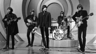 The Byrds  Hey Joe 1966 [upl. by Anniroc]