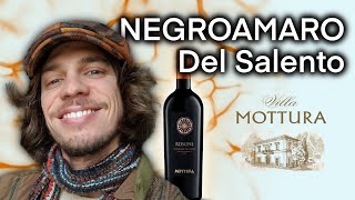 NEGROAMARO DEL SALENTO🍷 che BOMBA⚠️🔥 [upl. by Ecinaej]