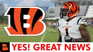 Cincinnati Bengals Get GREAT News Before NFL Week 1 [upl. by Onaireves]