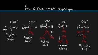 Biochimie 2 Les 20 acides aminés principaux [upl. by Greenfield]