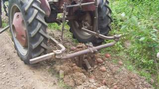 Diggin Taters with Cub Tractor [upl. by Philip924]