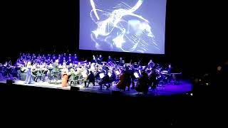 NieR Orchestra Concert  Song Of The Ancients  Live at Tempodrom Berlin  11022024 [upl. by Uriel]