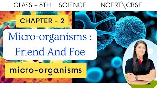 micro organisms friend and foe  microorganisms biology chapter 2 class 8 [upl. by Kcitrap]