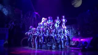 cats the musical  rccl cast 14 [upl. by Gelya]