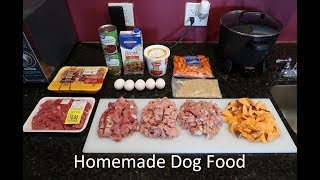 Best Homemade Dog Food Video  From A Past Vet Tech [upl. by Hadnama]