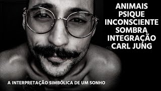 a interpretação simbólica de um sonho  animais psique inconsciente sombra integração e Carl Jung [upl. by Aleusnoc]