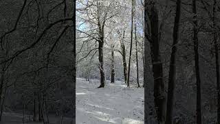 PRIMI FIOCCHI DI NEVE IN ABRUZZO [upl. by Suissac]