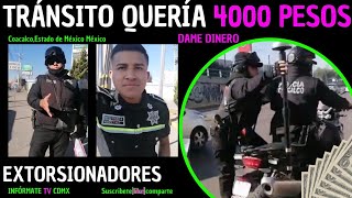 transito QUERÍA 💰 4000 PESOS 💰 [upl. by Fanchan]