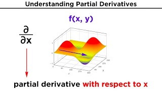 Partial Derivatives and the Gradient of a Function [upl. by Ayian]