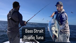 Bluefin Tuna  BASS STRAIT [upl. by Macomber873]