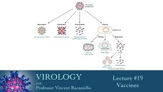 Virology 2014 lecture 19  Vaccines [upl. by Tnahsarp]