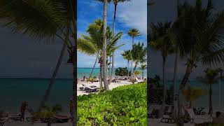 🇩🇴 Barcelo Bavaro Palace Punta Cana Domincan Rep🇩🇴🌴short shorts shortvideo bavaro puntacana [upl. by Niven]