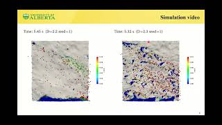 CFD DEM Simulations of Proppant Transport in Rough Fractures [upl. by Mcmaster]