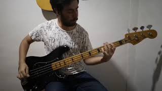 Brick by boring brick Paramore Bass Cover [upl. by Ardnossac]