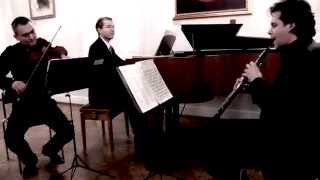 Live performance Schumann op 56 HUGO KAUDER TRIO [upl. by Isidoro]