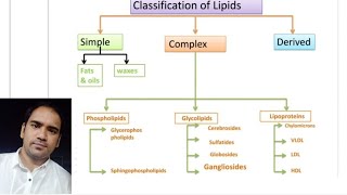 Lipids classification in Biochemistry  Simple lipids ll Complex lipids ll Derived lipids [upl. by Alena]