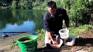 Versatile bird food baits for carp fishing [upl. by Lukin]